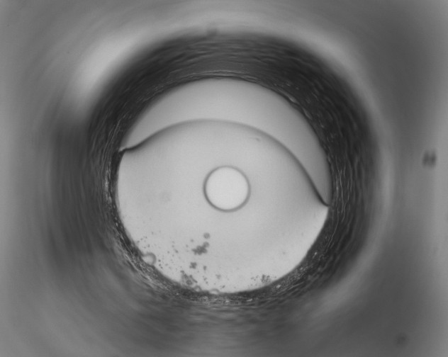 X0000114630146200912011033