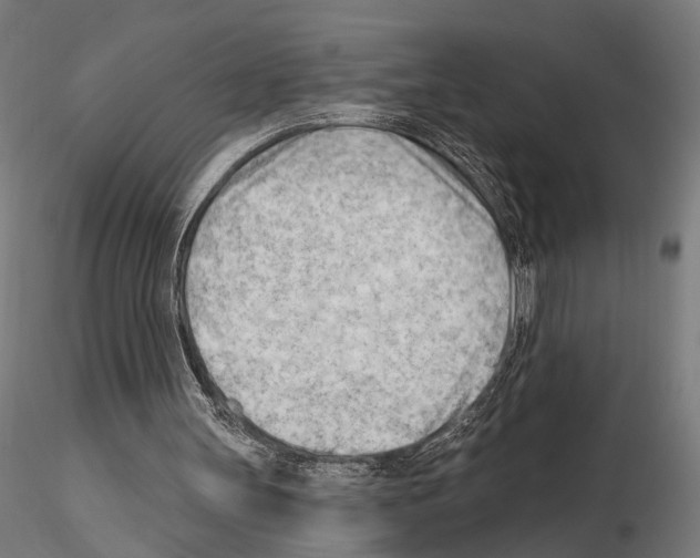 X0000114630147200912011033