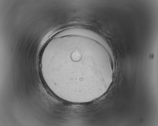 X0000114630150200912011033