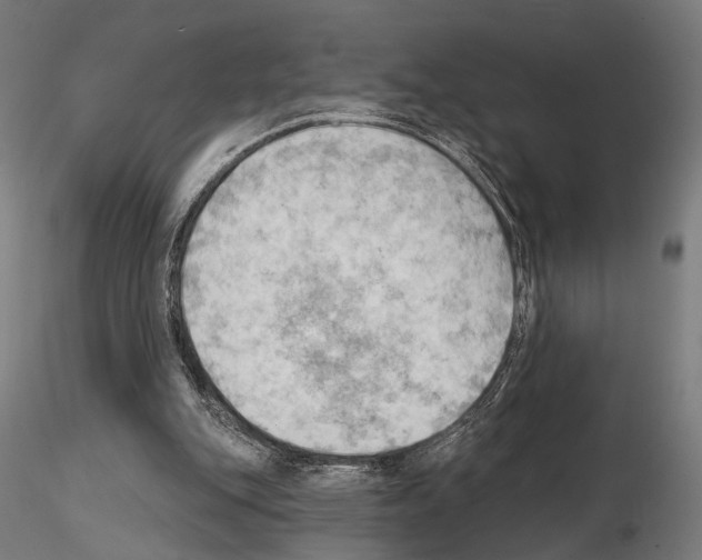 X0000114630151200912011033