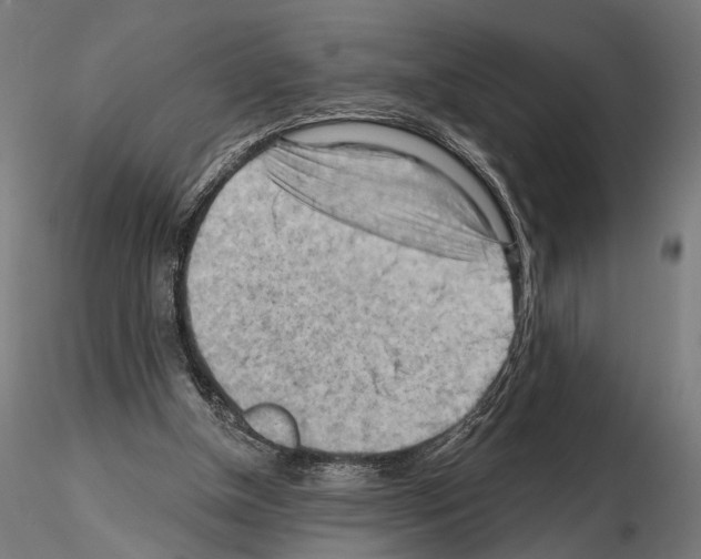 X0000114630154200912011033