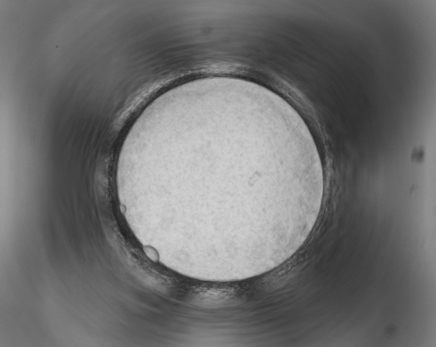 X0000114630155200912011033