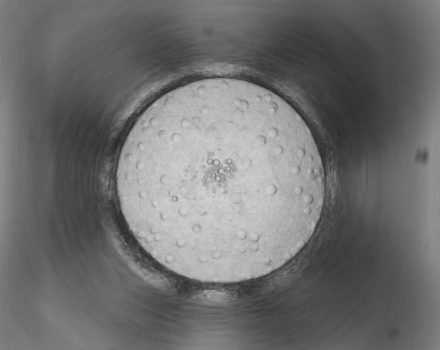 X0000114630159200912011033