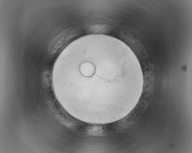 X0000114630162200912011033