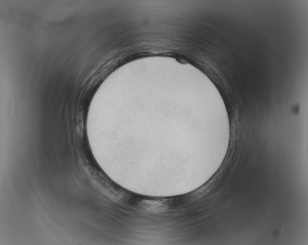 X0000114630170200912011033