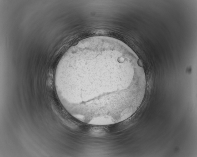 X0000114630175200912011033