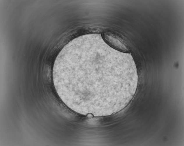 X0000114630178200912011033