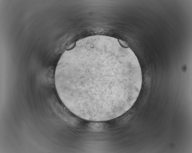 X0000114630181200912011034