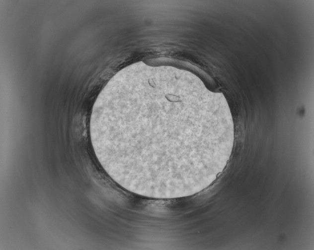 X0000114630182200912011034