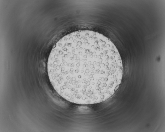 X0000114630183200912011034