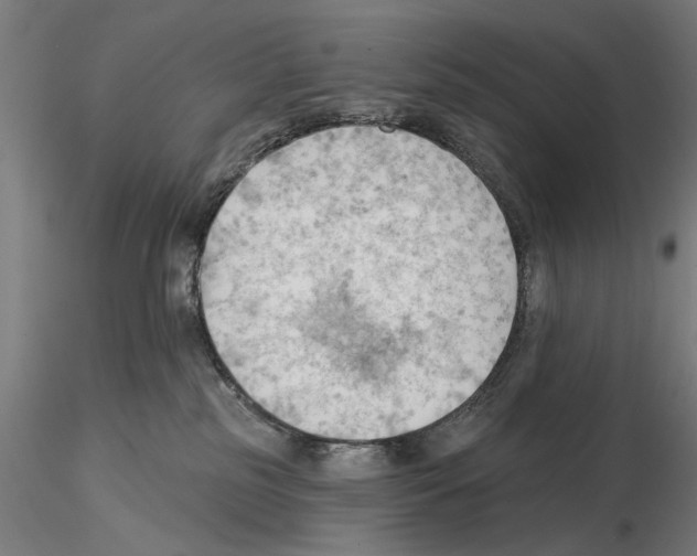 X0000114630185200912011034