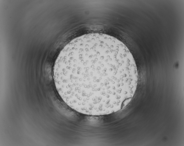 X0000114630187200912011034