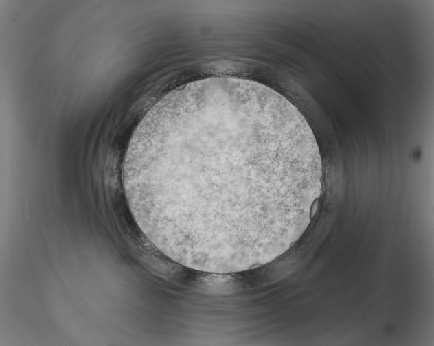 X0000114630189200912011034