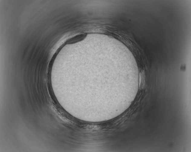 X0000114630195200912011033