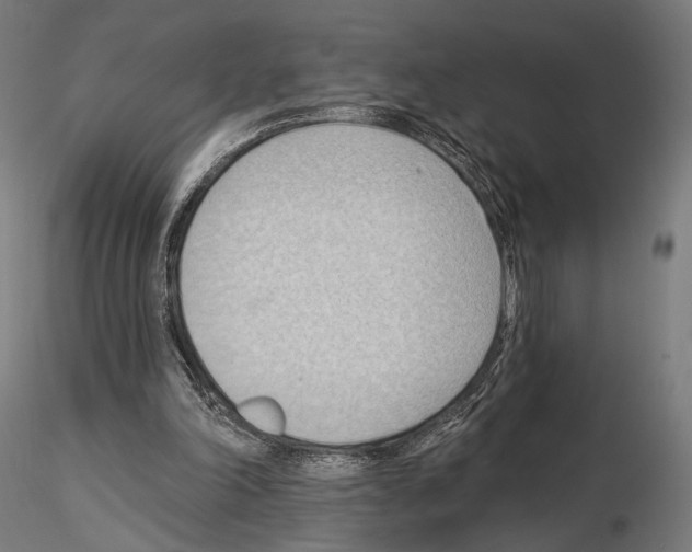 X0000114630198200912011033