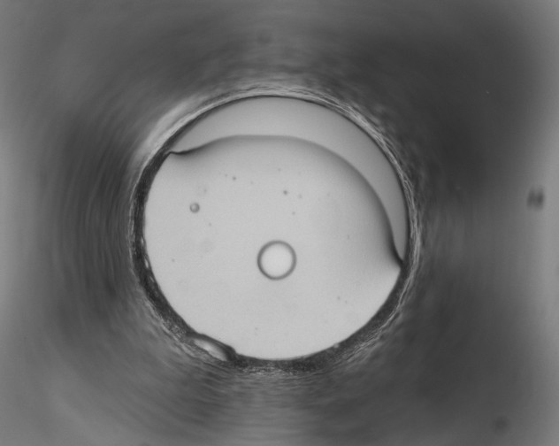 X0000114630199200912011033