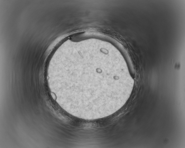 X0000114630200200912011033