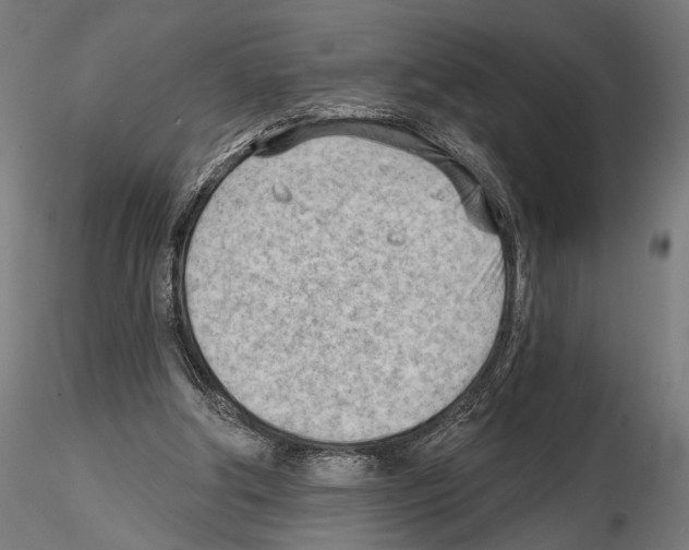 X0000114630202200912011033