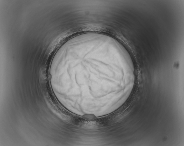 X0000114630203200912011033