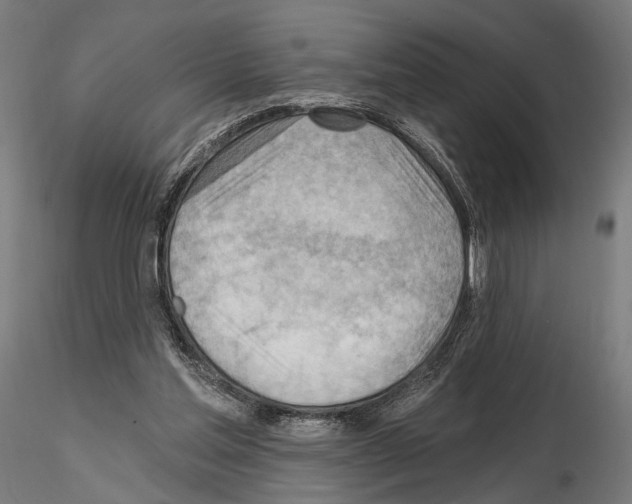 X0000114630205200912011033