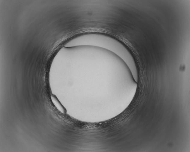 X0000114630207200912011033