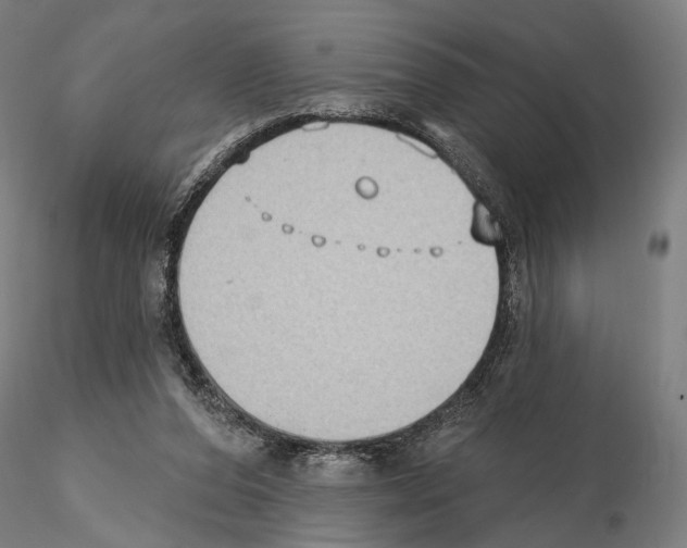 X0000114630208200912011033