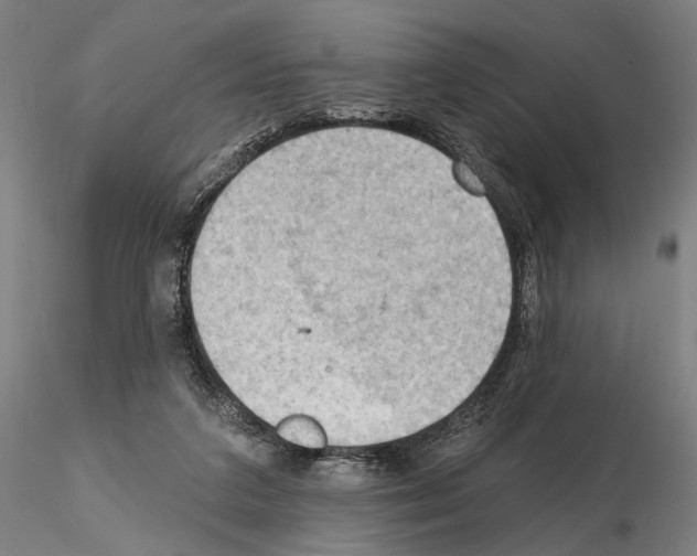 X0000114630211200912011033