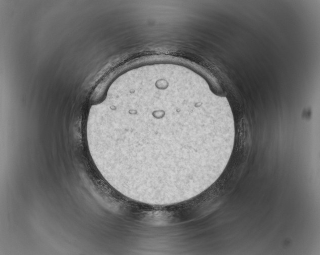 X0000114630212200912011033