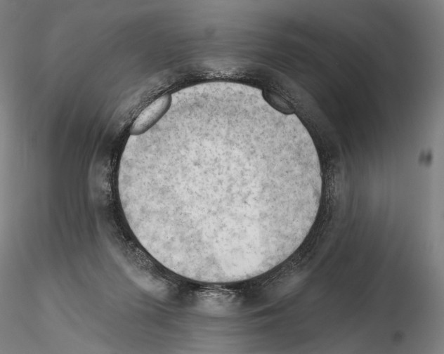 X0000114630215200912011033