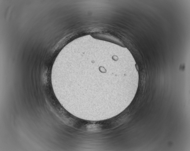 X0000114630216200912011033