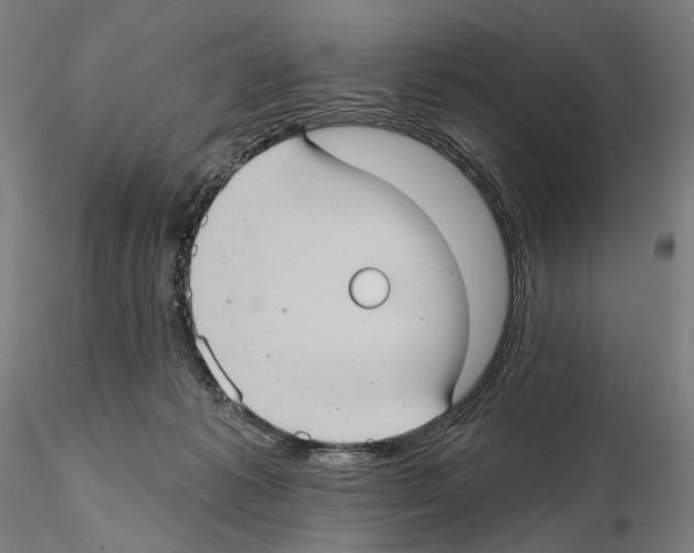 X0000114630221200912011032