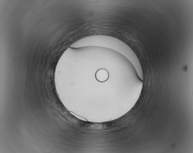 X0000114630225200912011032