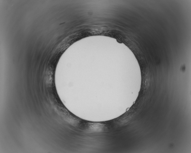 X0000114630226200912011032