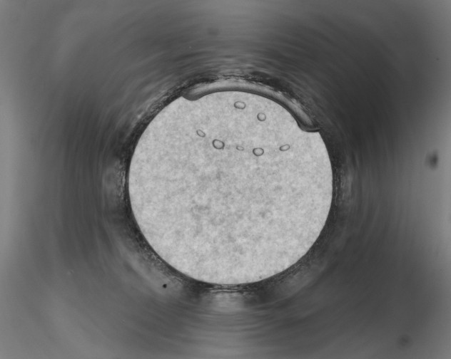 X0000114630228200912011032