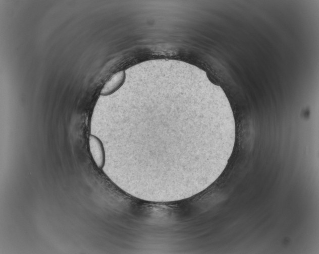 X0000114630229200912011032