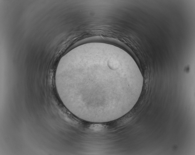 X0000114630231200912011032