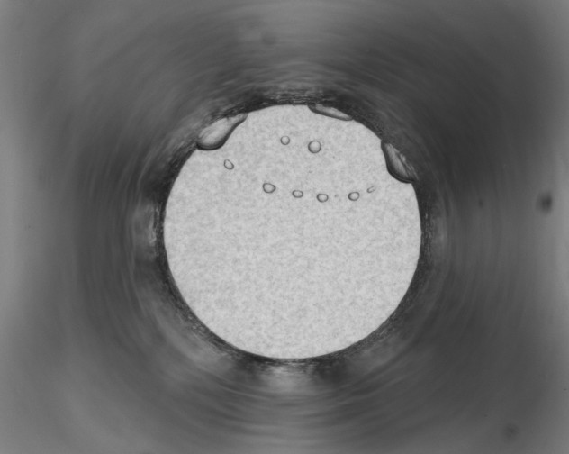 X0000114630232200912011032