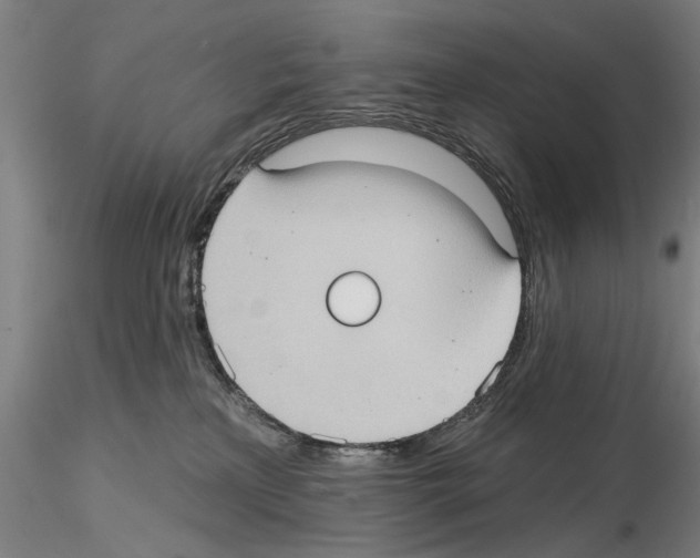 X0000114630233200912011032