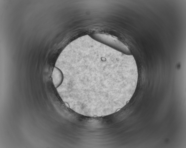 X0000114630236200912011032