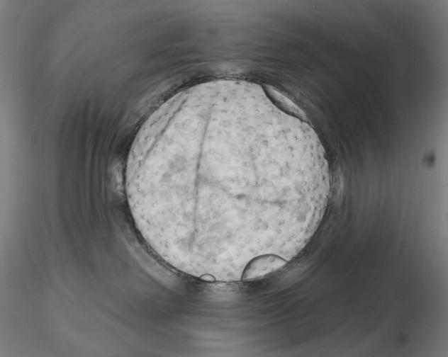 X0000114630238200912011032