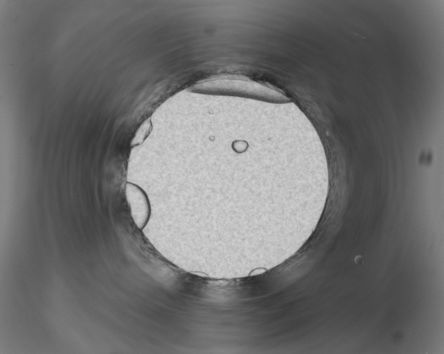 X0000114630240200912011032