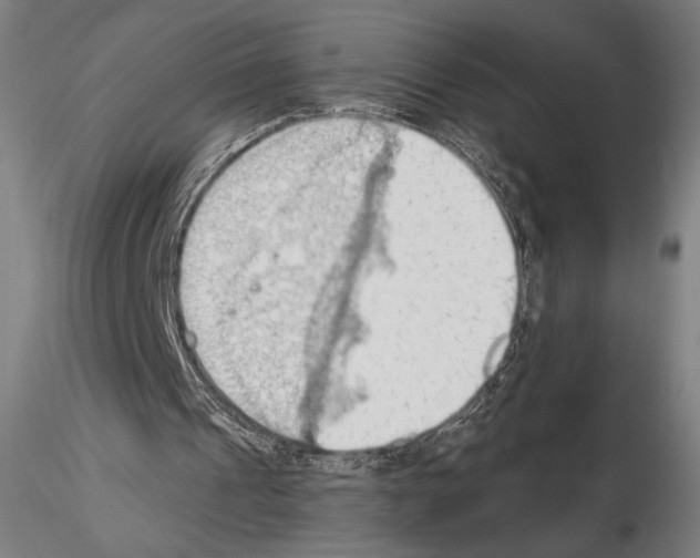 X0000114630241200912011032