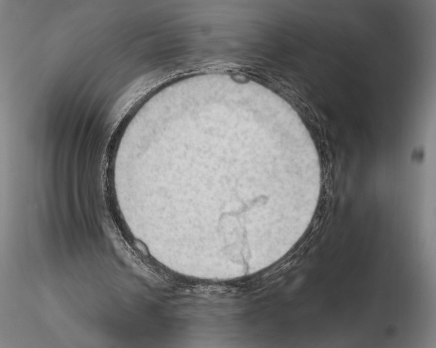 X0000114630242200912011032