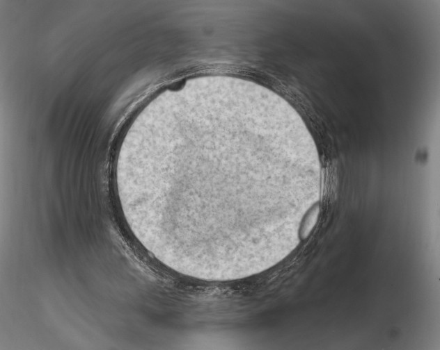 X0000114630243200912011032