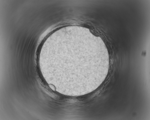 X0000114630246200912011032