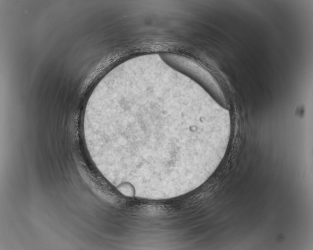 X0000114630250200912011032