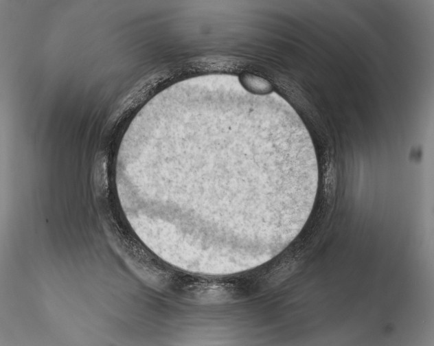 X0000114630254200912011032