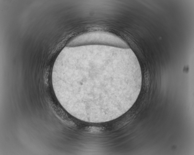 X0000114630255200912011032