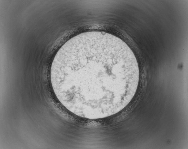 X0000114630257200912011032