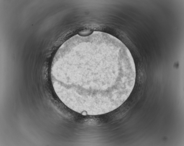 X0000114630259200912011032